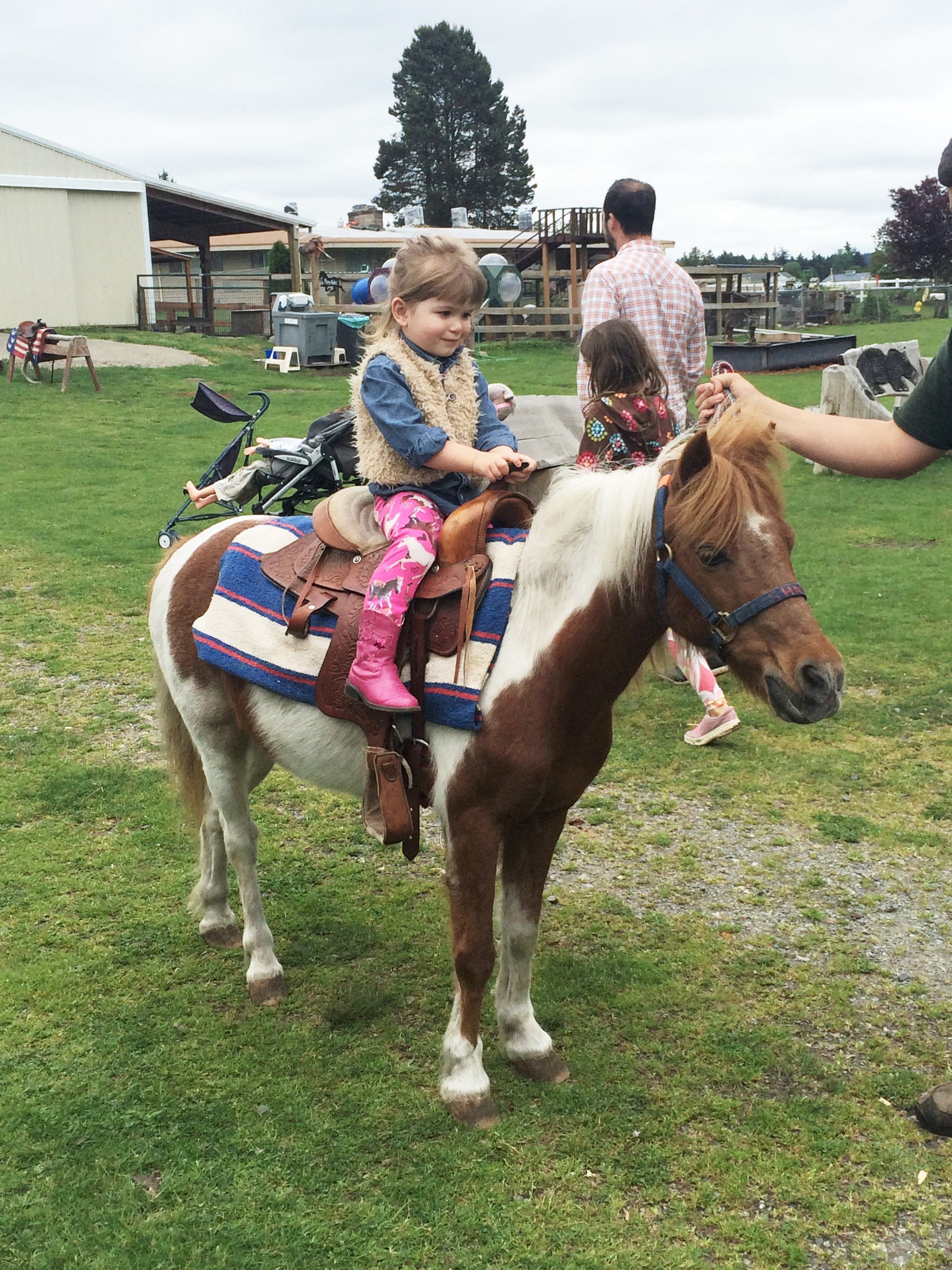 Family Farm Petting Zoo Near Me - Farm House