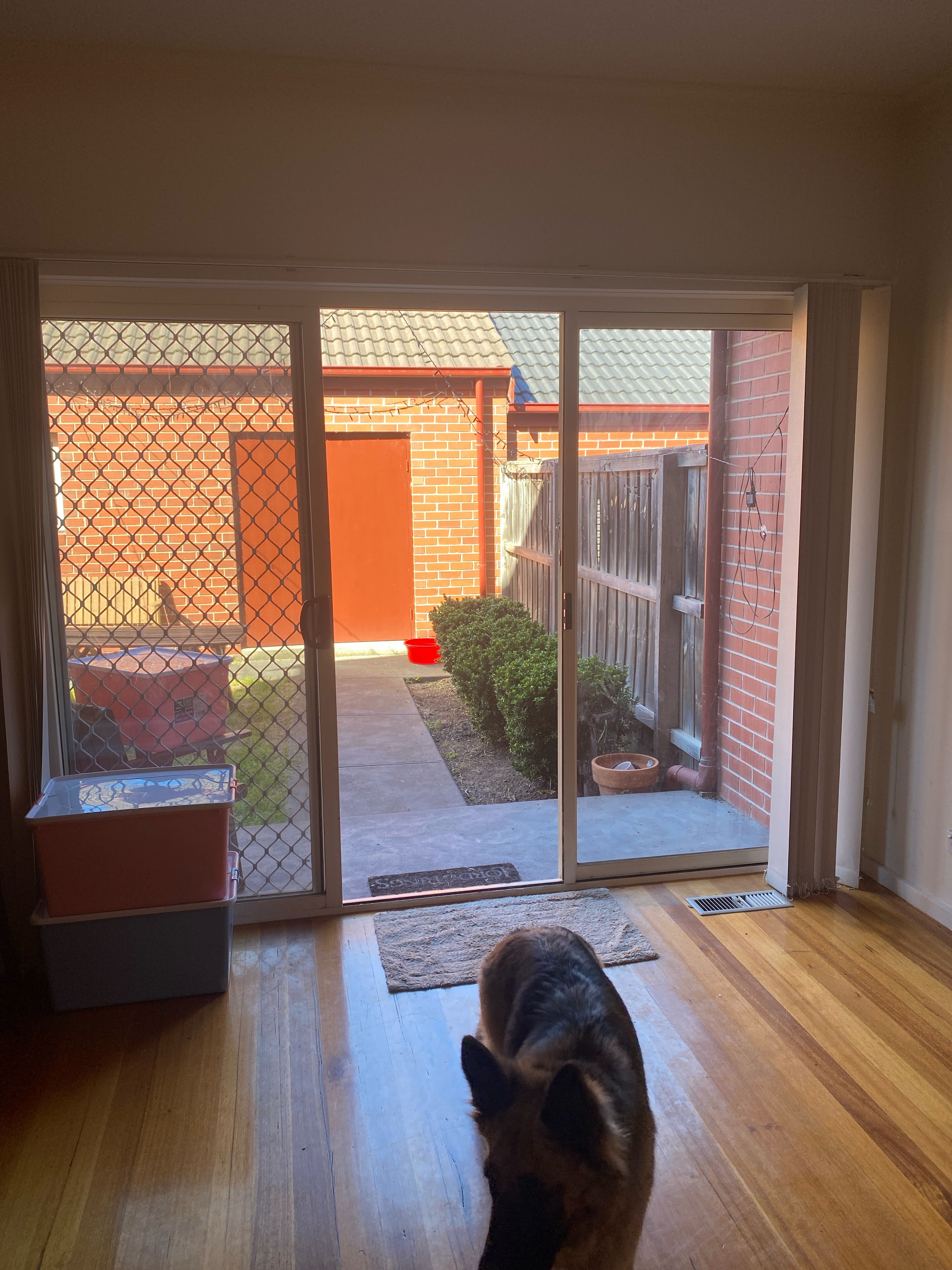 Pet Sitter near me, Pet Sitting in Bundoora, VIC | PetCloud | Bridget