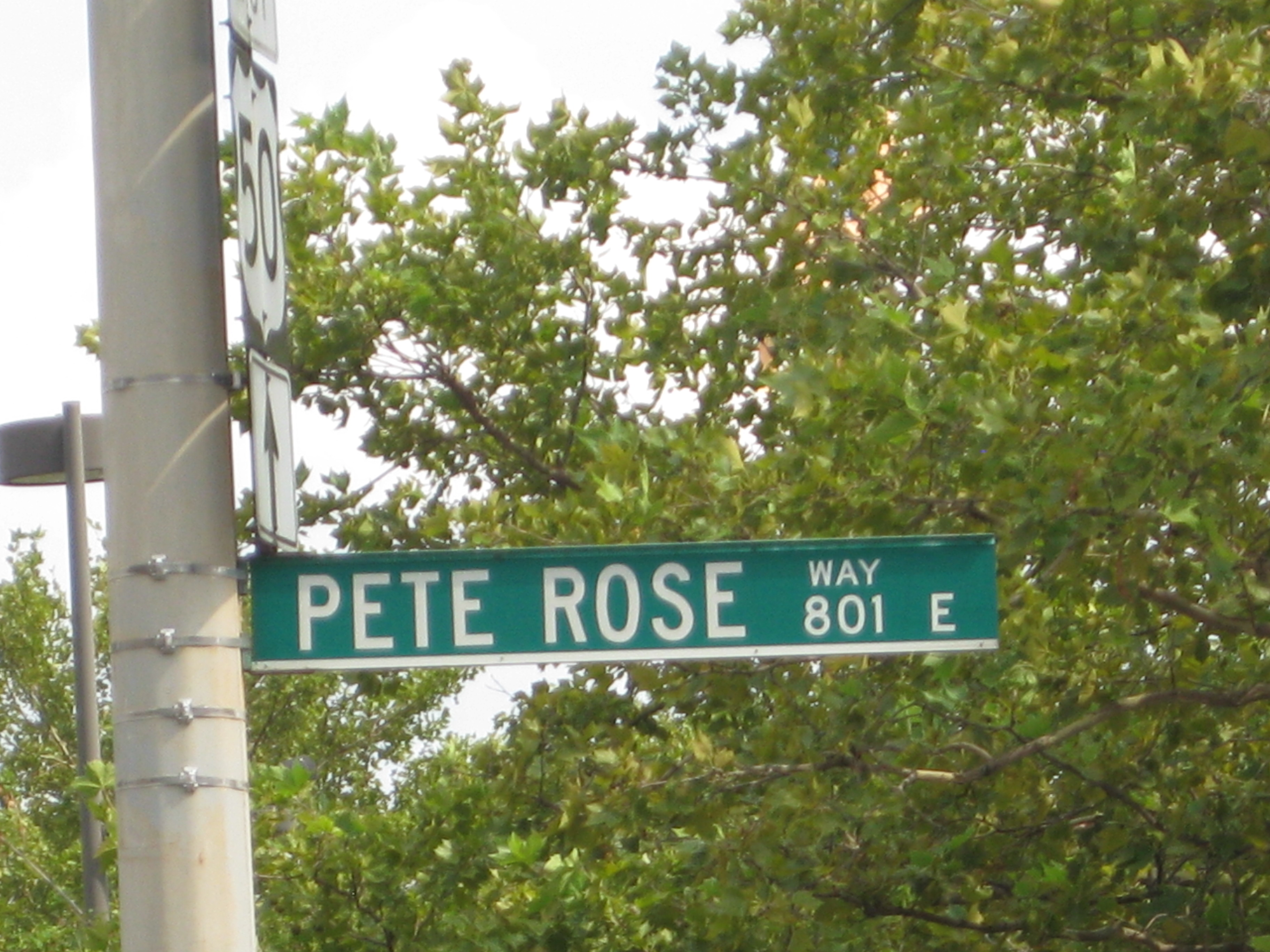 Pete Rose Way- Pete Rose Is Still Loved In The Natti | slicethelife