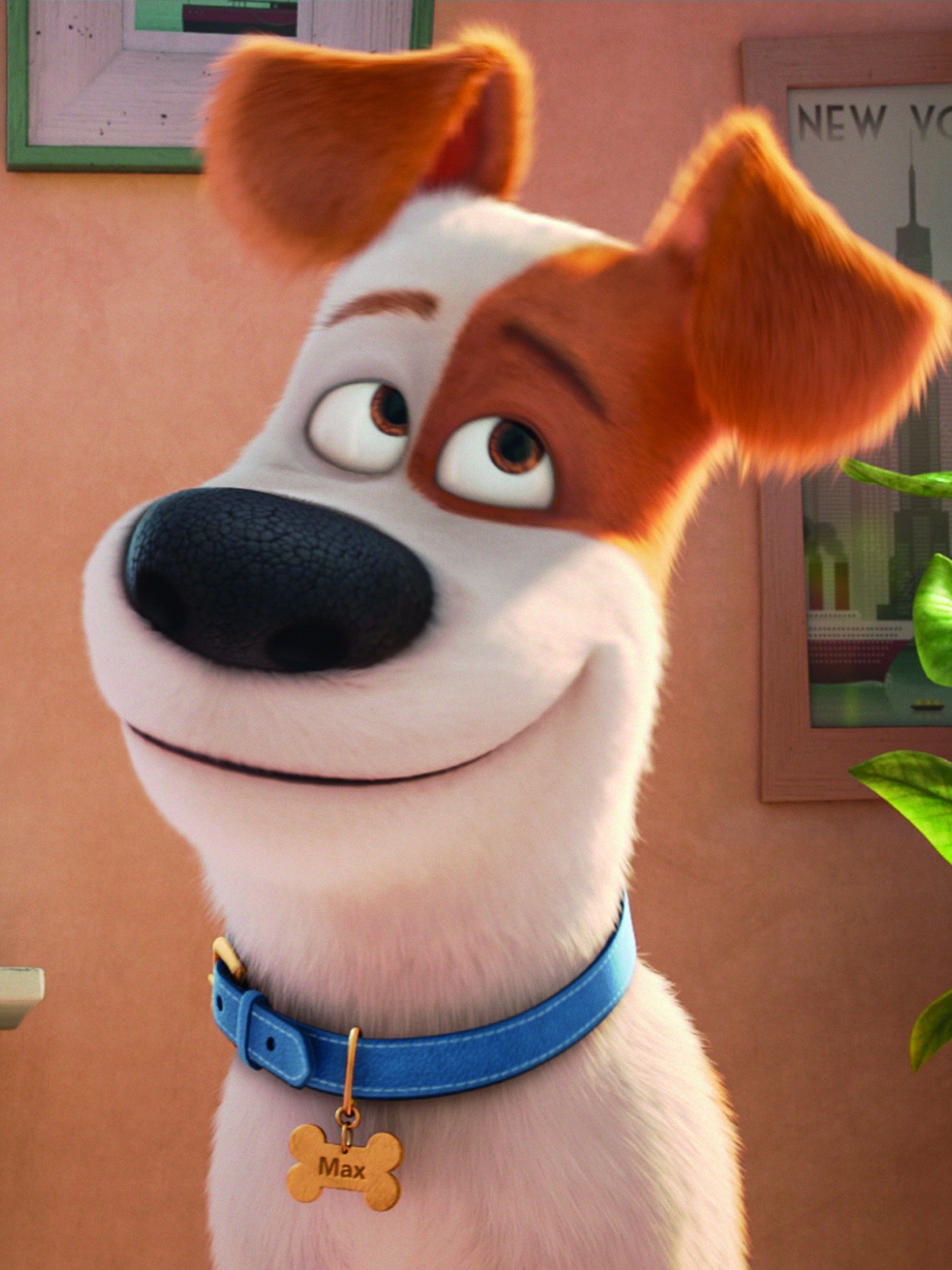 The Secret Life of Pets: Official Clip - Max Meets Duke - Trailers