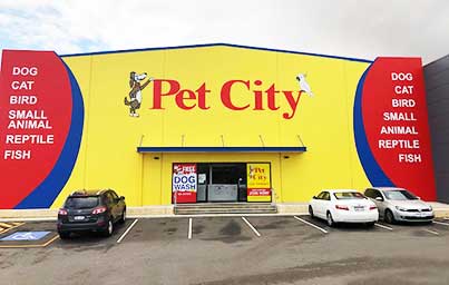 Reptile Pet Stores Near Me Cheap Sale | www.aikicai.org