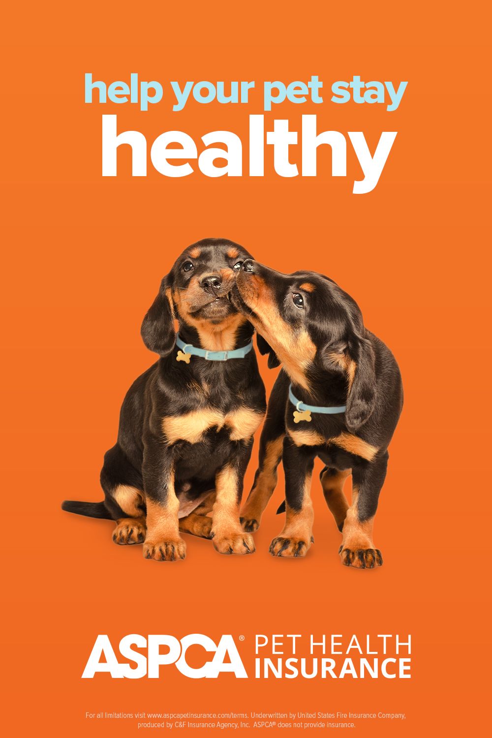 Aspca Pet Insurance.com