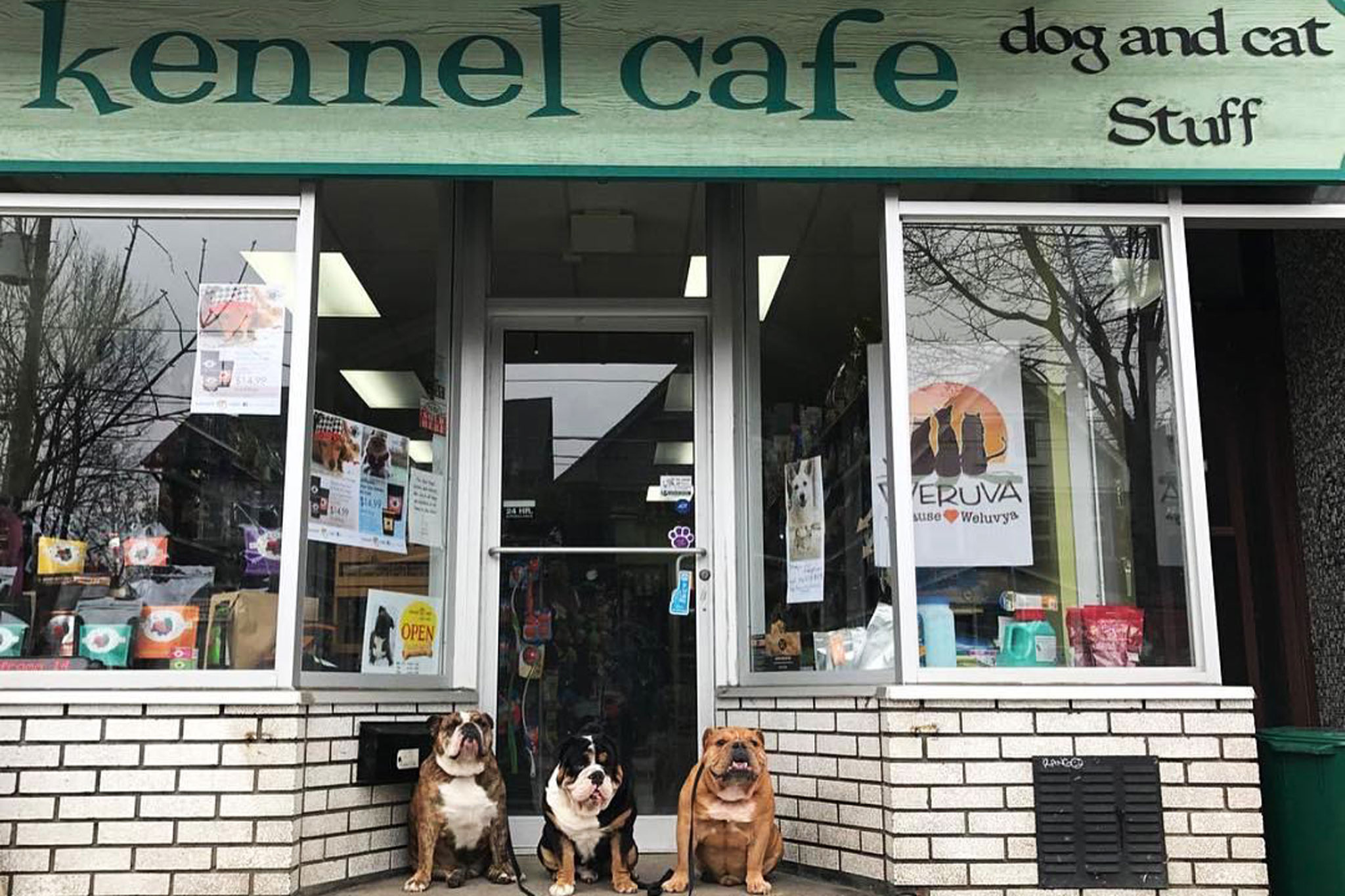 The Best Pet Stores in Toronto