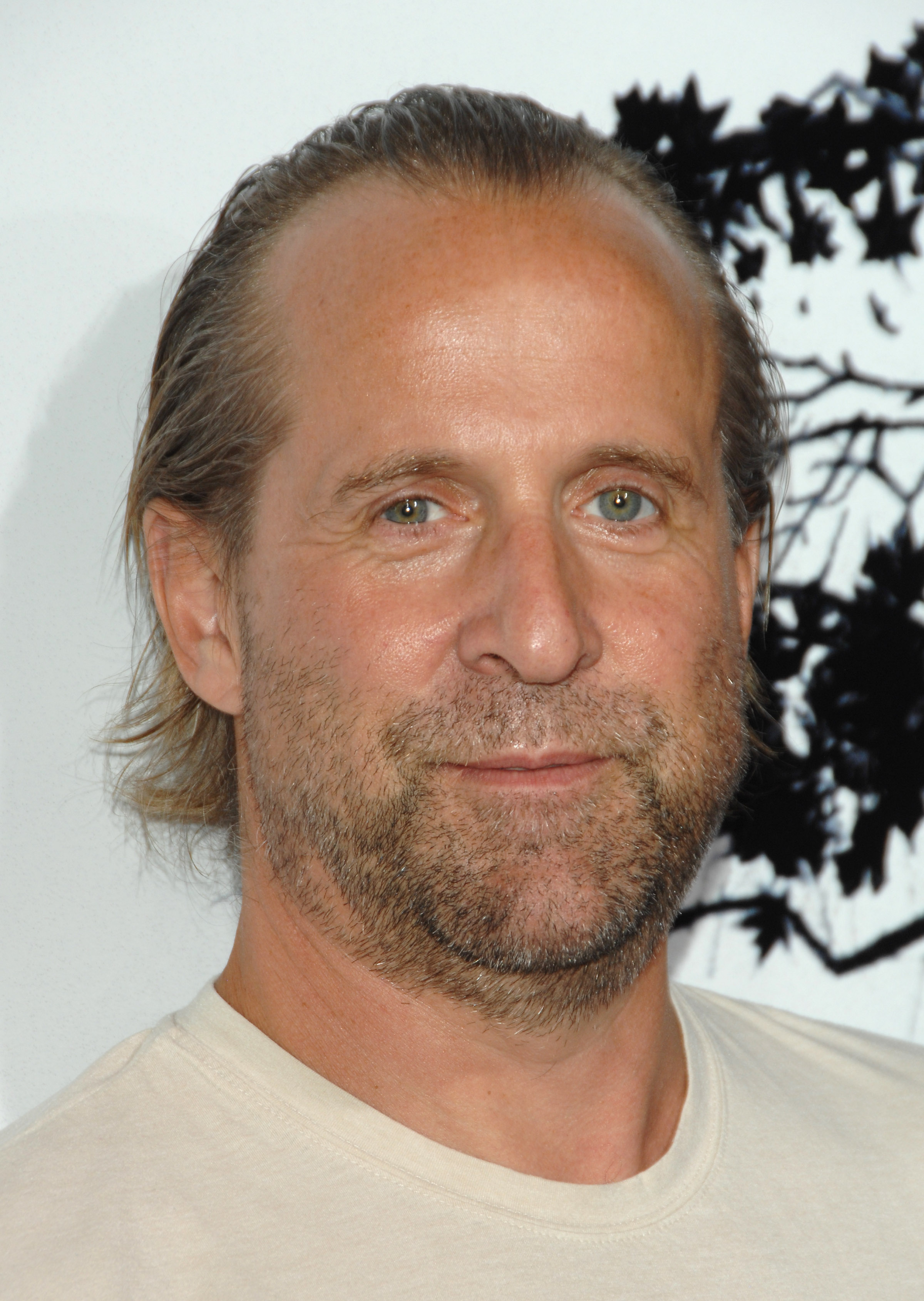 Peter Stormare ficha por Graceland - Series Adictos