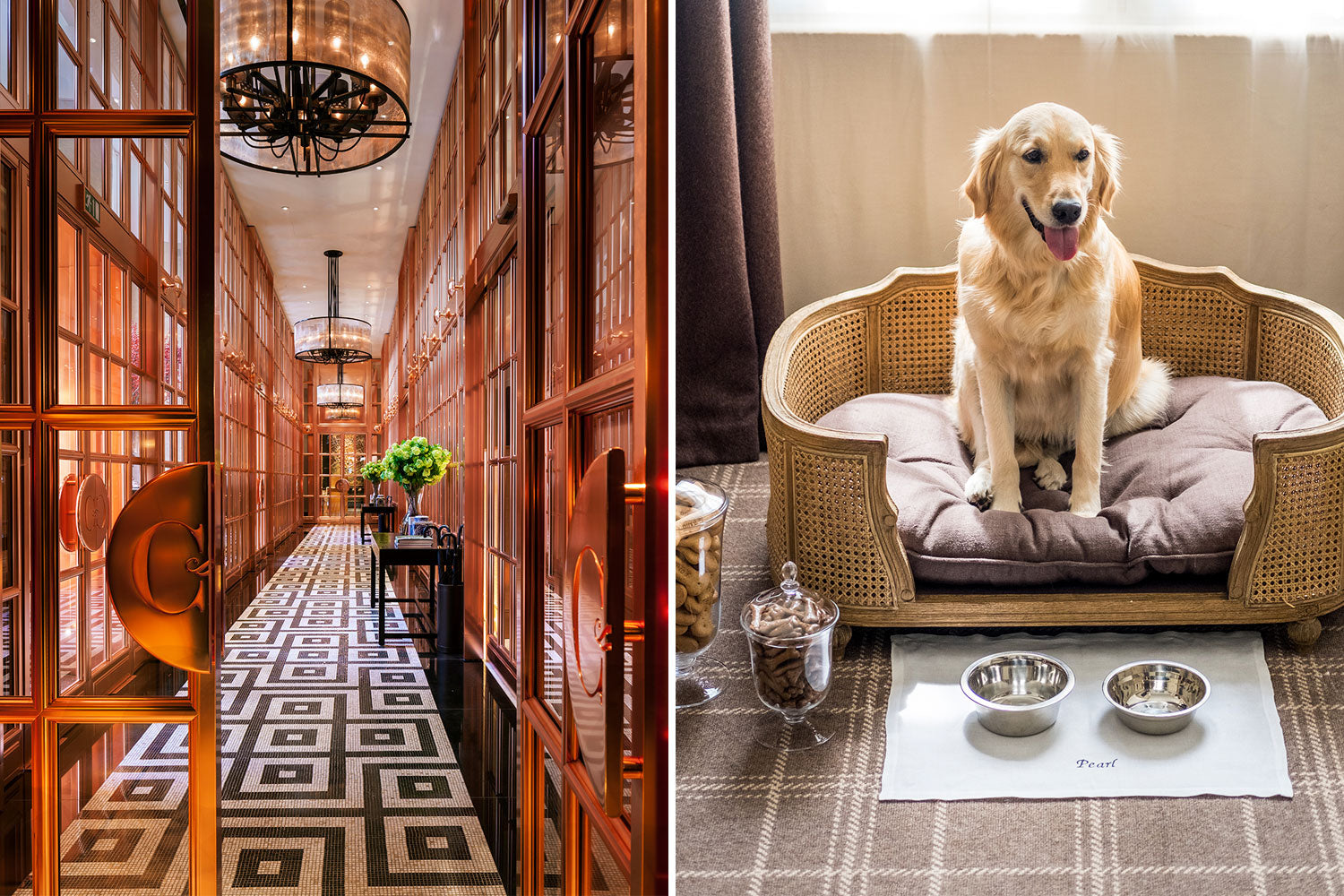 Our Guide to the Best Pet-Friendly Hotels