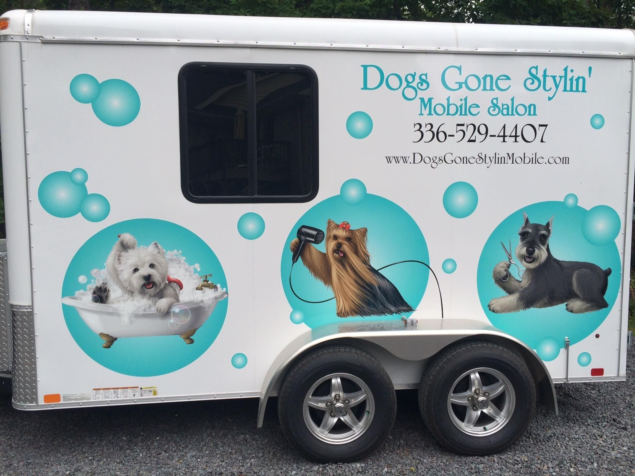 Pin on Dog Grooming Business