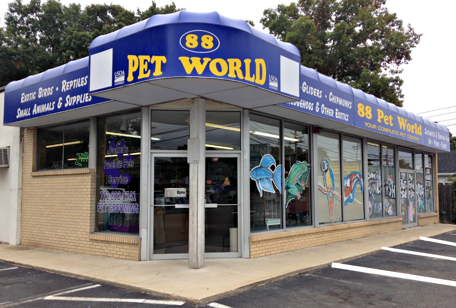 88 Pet World Brick, NJ | Ocean County Pet Store | Hedgehogs, Sugar