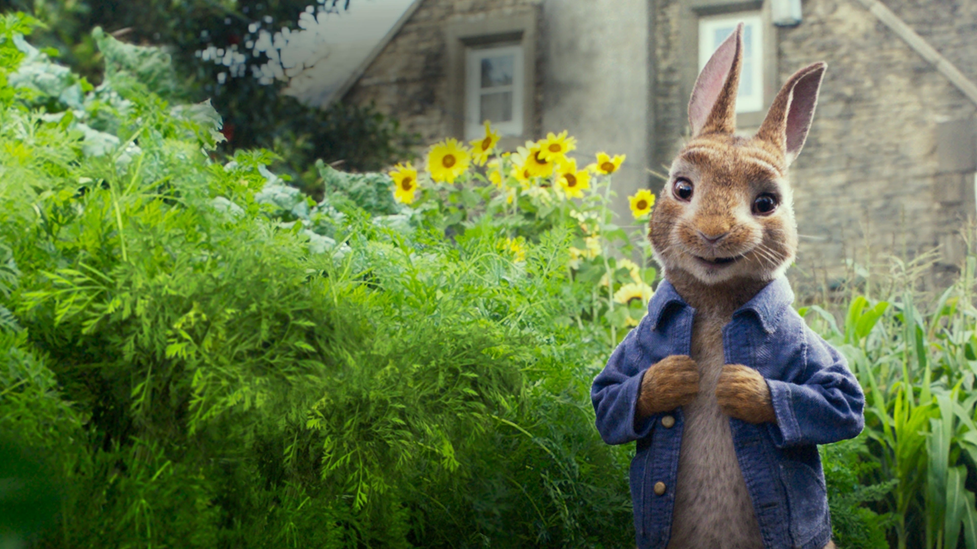 Peter Rabbit – Crtani Filmovi Elena