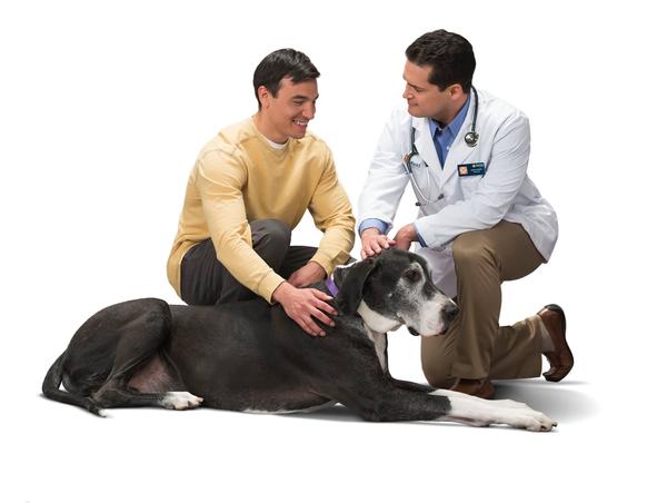 banfield pet hospital website Banfield pet hospital® to invest nearly $10 million in educational