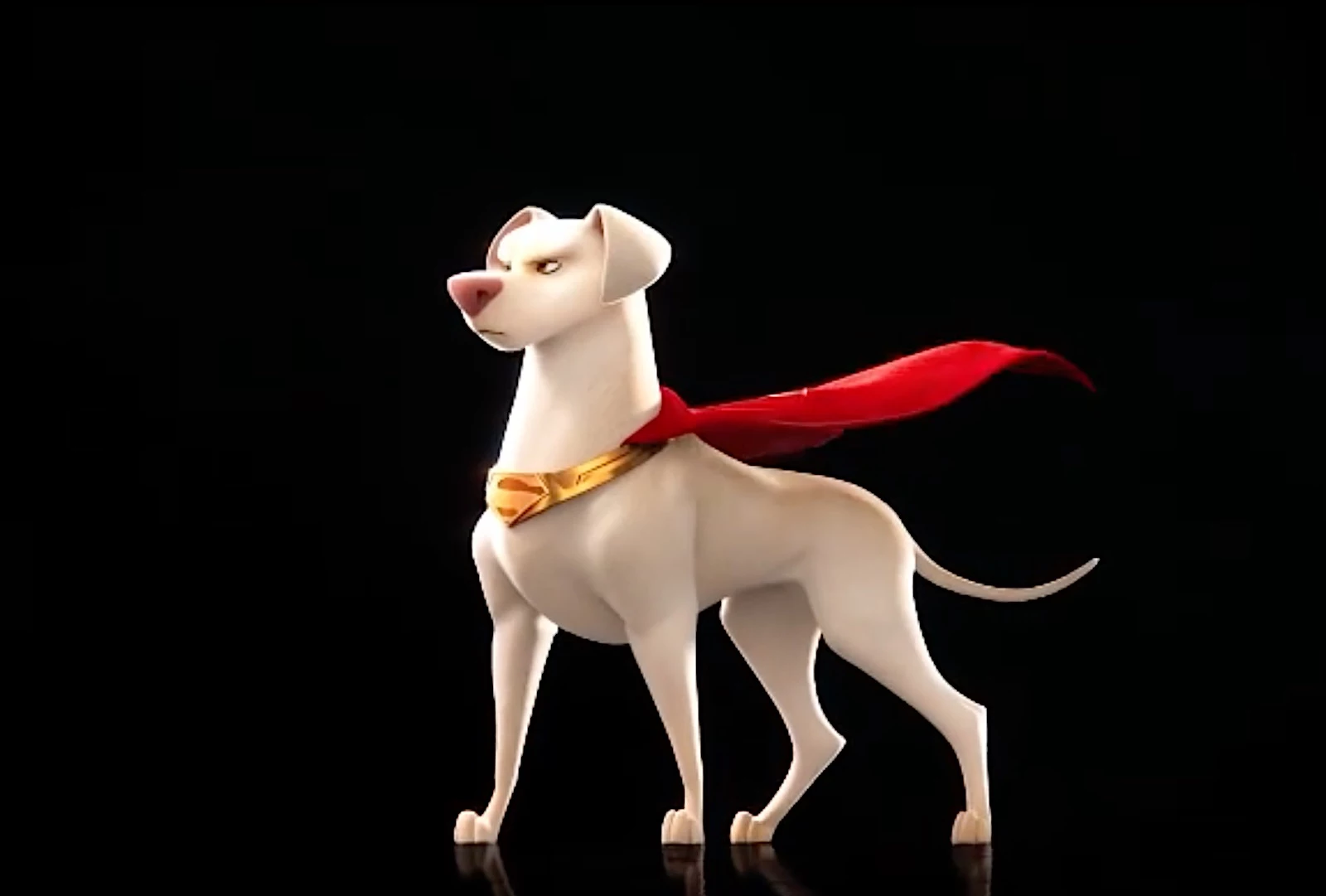 super pets Europese omroep