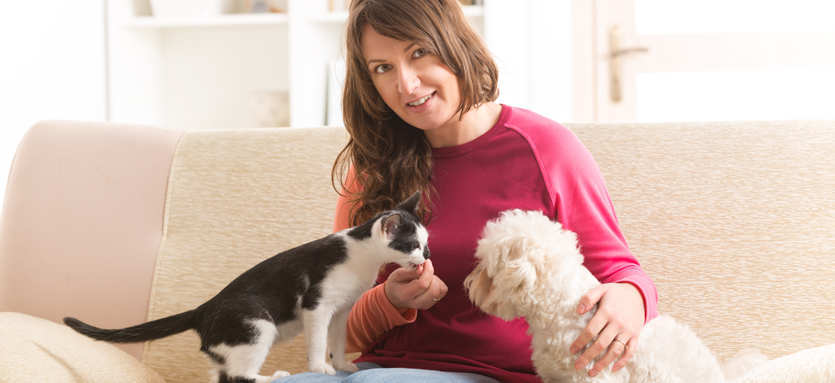 pet sitters Pet sitters of charlotte