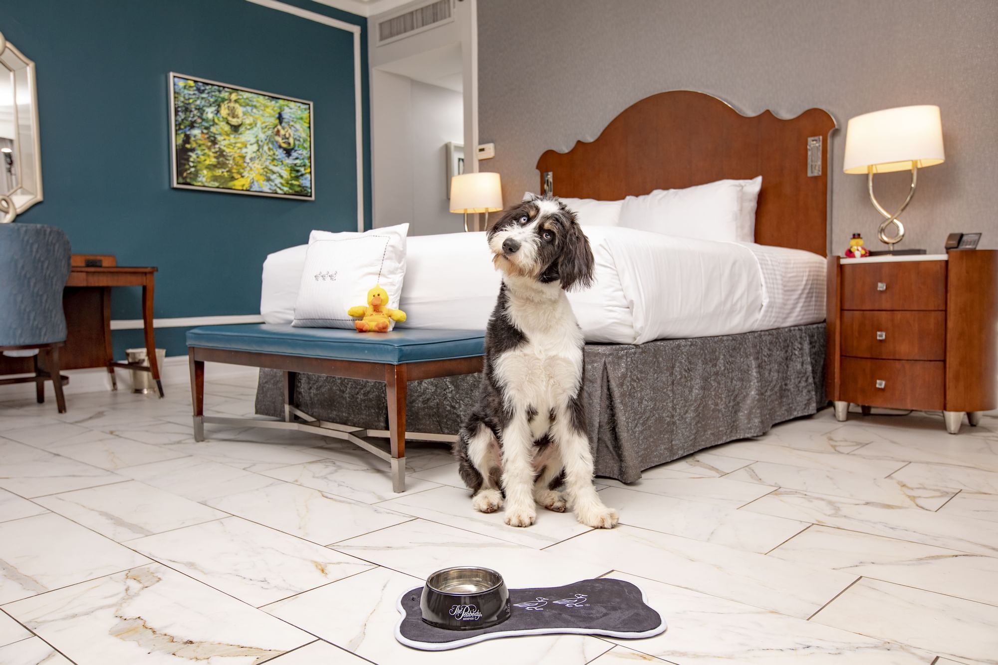 pet friendly hotels near memphis tn Memphis pet friendly hotels tn fee lbs pets cats dogs max