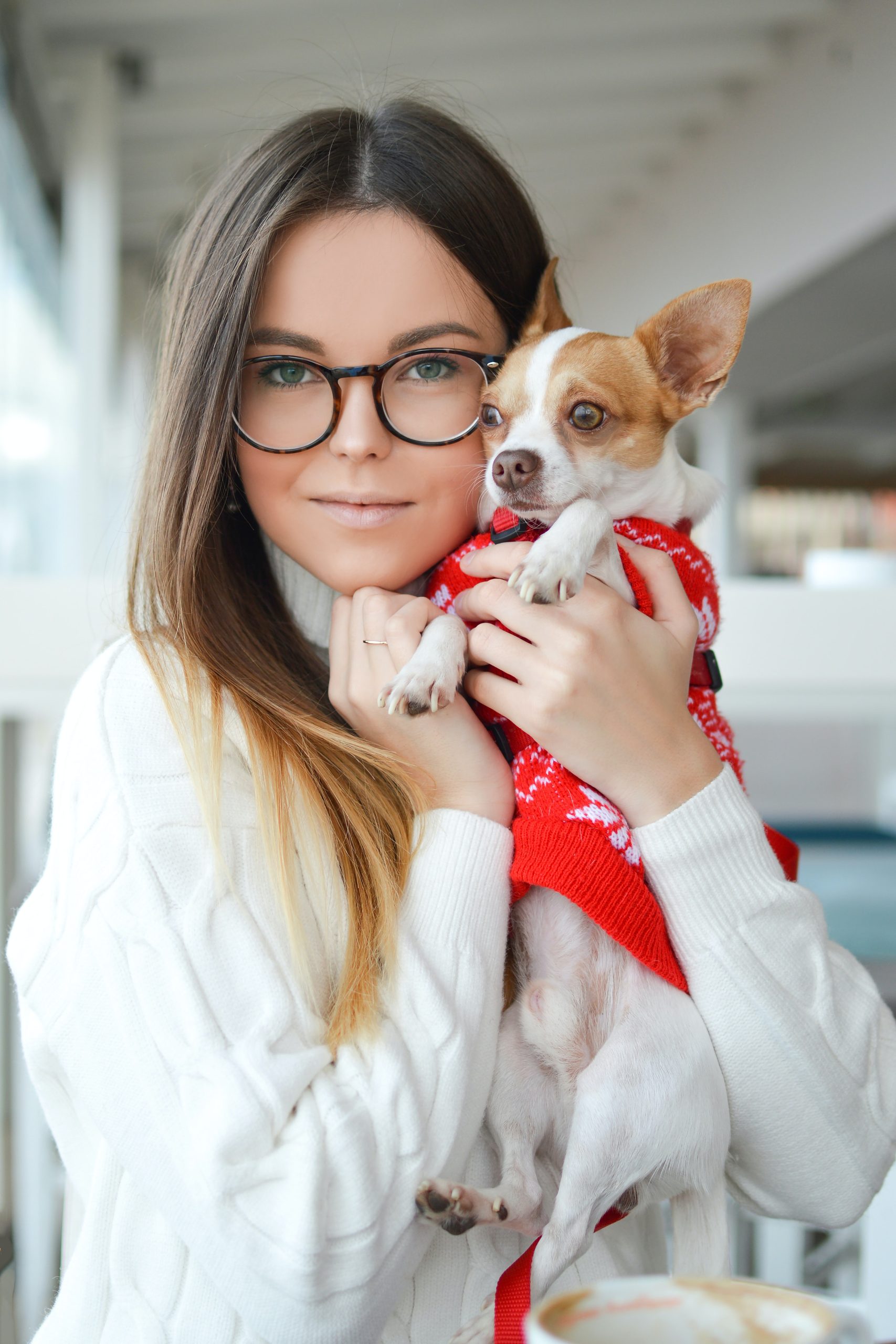 pet insurance pre-existing conditions Best insurance options for pets with pre-existing conditions