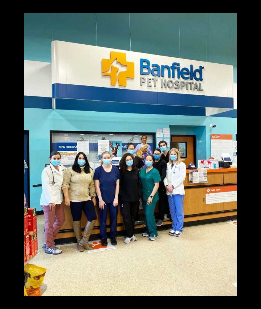 banfield pet hospital Banfield pet hospital at barrow crossing petsmart hiring veterinary