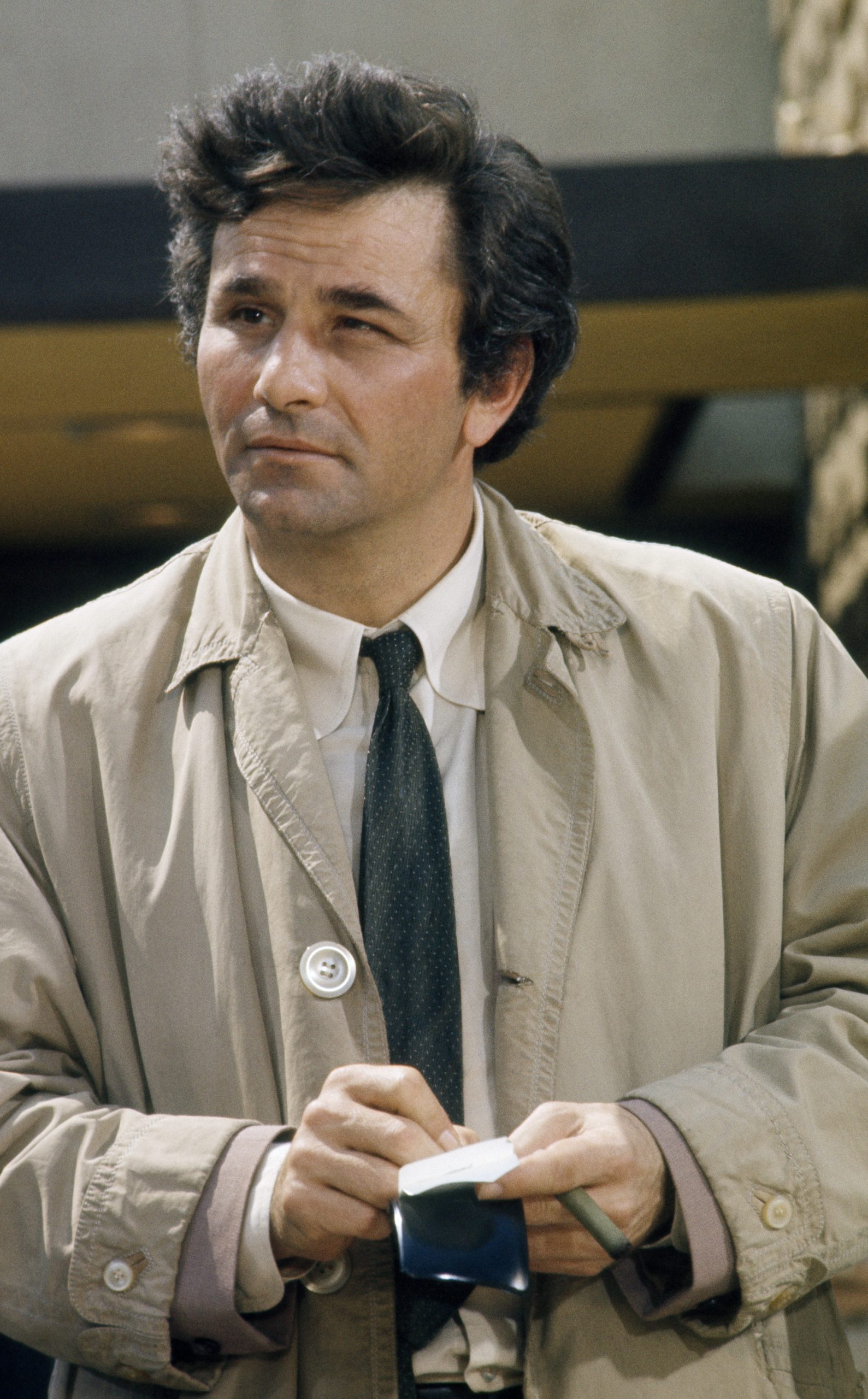 peter falk movies and tv shows Falk peter lieutenant columbo tv visit detectives