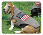 American Flag Wool Sweater-FINAL SALE - Image 2