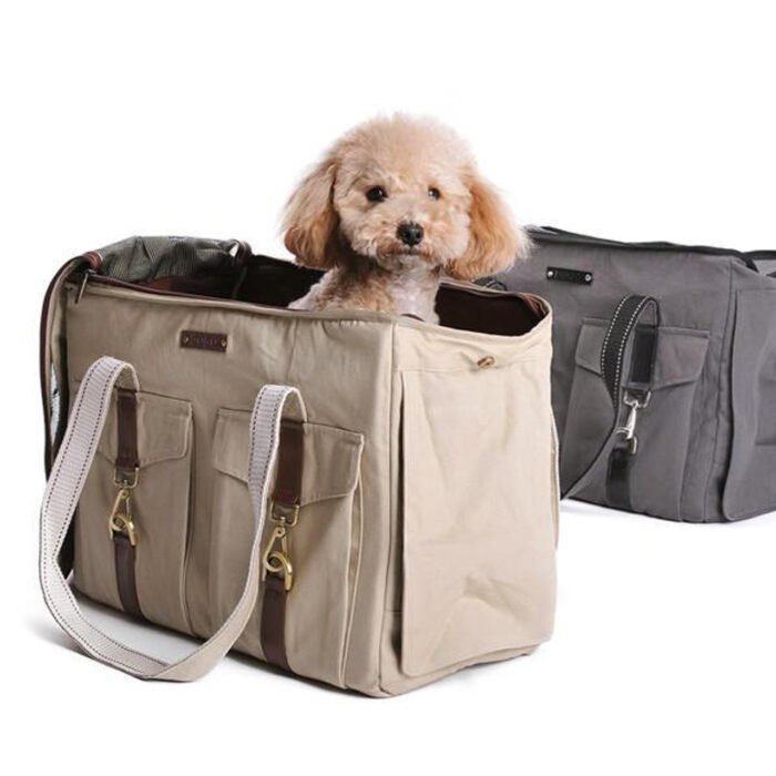DOGO Buckle Tote 2-FINAL SALE - Image 1