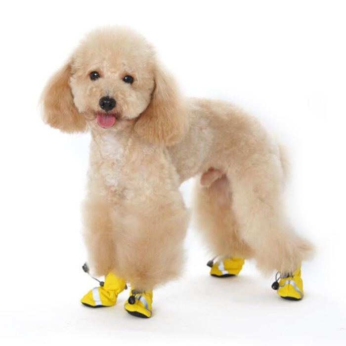 DOGO Slip-On Paws Booties - Image 1