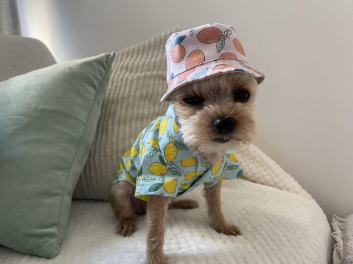 Lemon Bucket Hat - Image 1