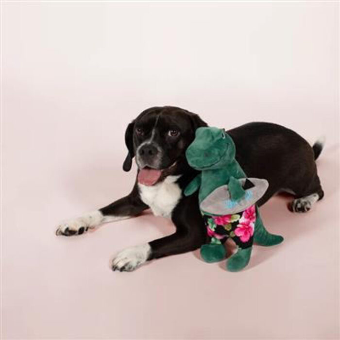 PetShop by Fringe Studio Surfer Bro Rex - Image 1