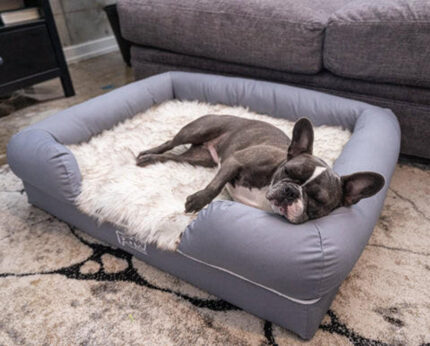 PupLounge™ Memory Foam Bolster Bed & Topper Small