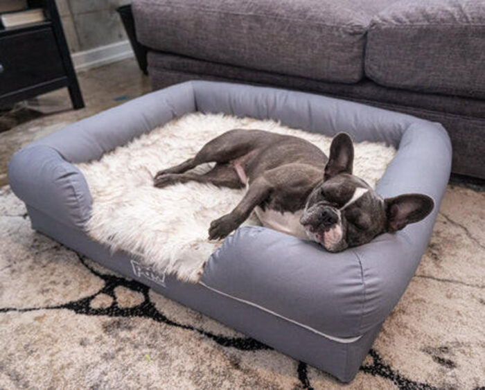 PupLounge™ Memory Foam Bolster Bed & Topper Small - Image 1