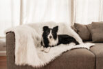 PupProtector™ Cool Comfort Waterproof Throw Blanket -Polar White