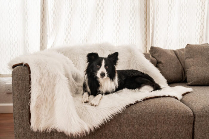 PupProtector™ Cool Comfort Waterproof Throw Blanket -Polar White - Image 1