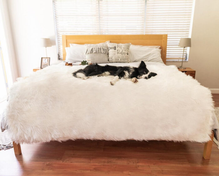 PupProtector™ Cool Comfort Waterproof Throw Blanket -Polar White - Image 2