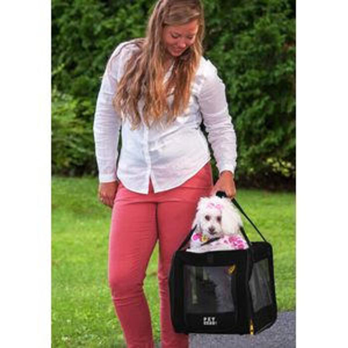 Pet Gear Car Seat/Carrier - Image 1