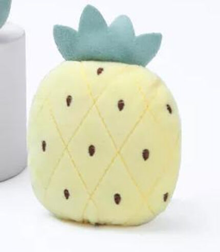 Pineapple Toy