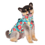 Puppia Alyssa Coat with Harness