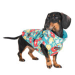 Puppia Alyssa Coat with Harness - Image 2