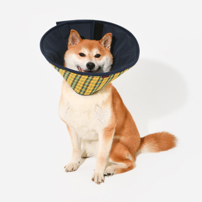 Puppia Charlie Checkered E-Collar - Image 1