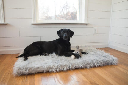 PupRug™ Faux Fur Orthopedic Dog Bed - Rectangle Grey