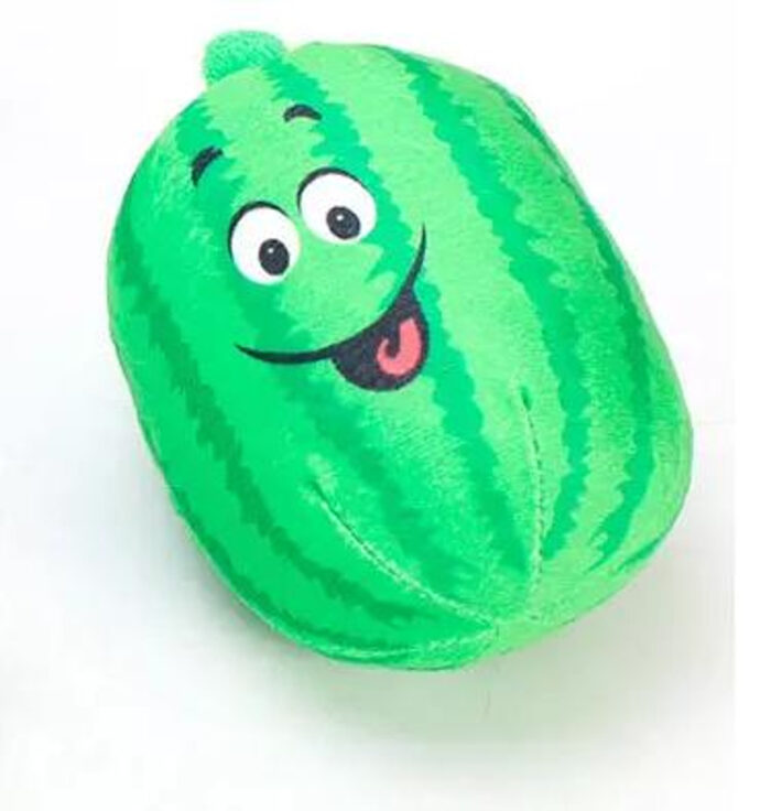 Watermelon Ball Toy - Image 1